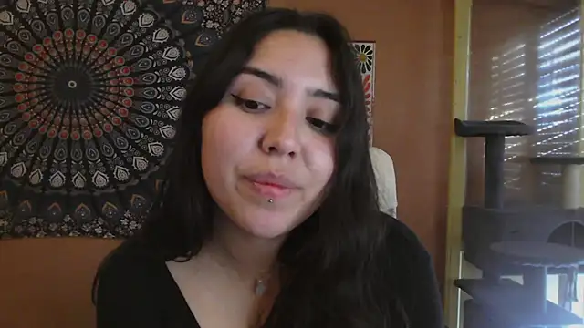 Snapshot of IntimateTales chatting on December 10, 2024, 3:12 pm IntimateTales online show from December 10, 2024, 3:12 pm