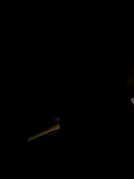 tropikboy online show from February 4, 2026, 2:17 am