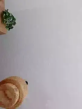 mister-dwt online show from January 8, 2025, 12:05 pm