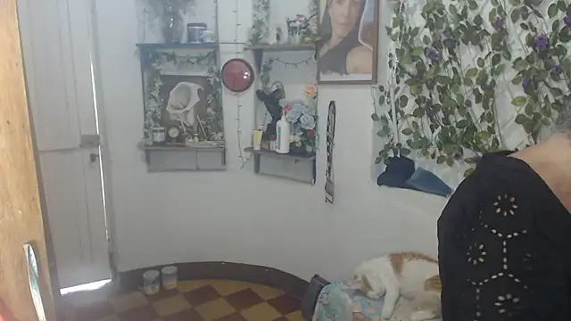 FunnyGrandma online show from July 12, 2026, 8:11 pm