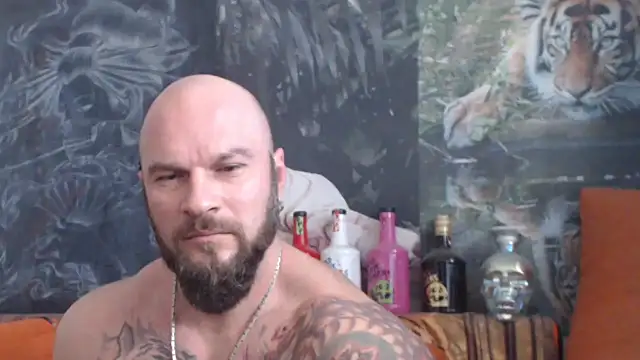 viking 30 online show from October 28, 2025, 11:14 am