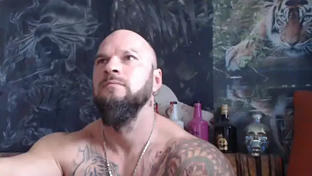 viking 30 online show from November 7, 2025, 10:26 am