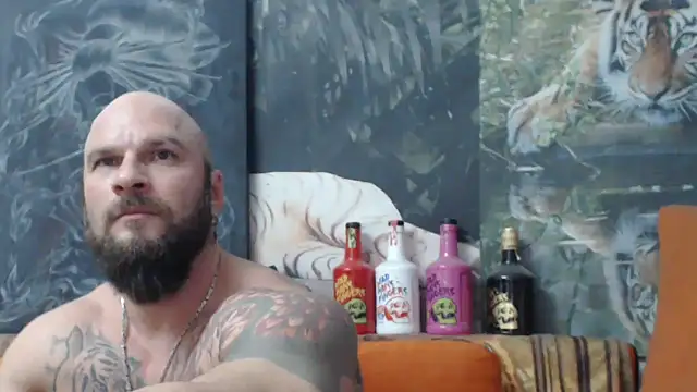 viking 30 online show from November 28, 2025, 7:49 pm