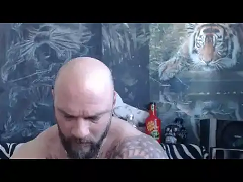 viking 30 online show from April 12, 2026, 6:07 am