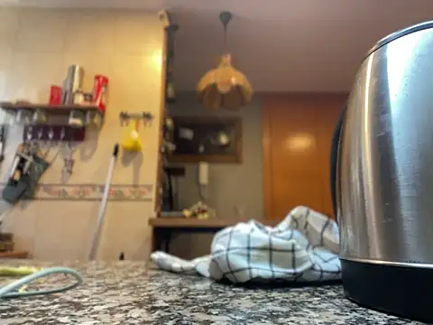 camelia3 online show from November 22, 2025, 12:48 pm