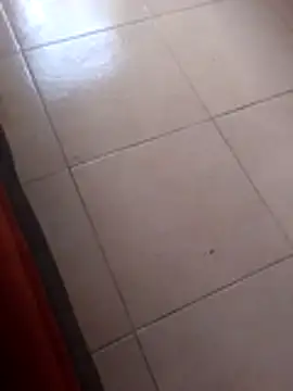 Robhalford33 online show from January 6, 2026, 7:06 pm