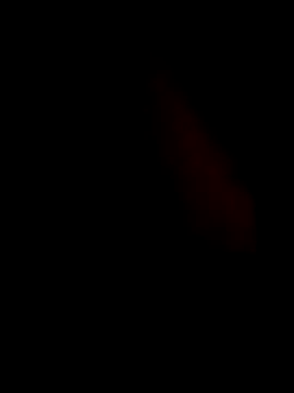 guilherme205 online show from February 7, 2026, 2:43 pm