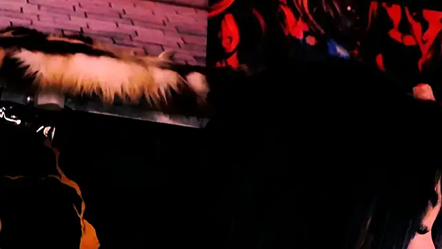 indian dreamgirl online show from April 8, 2026, 12:05 pm