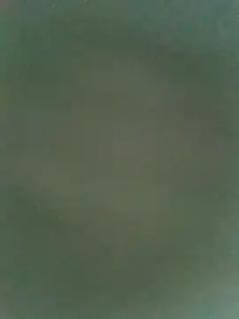 dreamtoungelick69 online show from July 25, 2026, 3:04 am