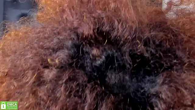 Alika Shanty online show from March 20, 2026, 5:51 pm