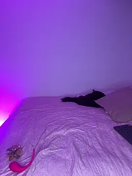 Veronica ar online show from April 10, 2026, 2:39 am