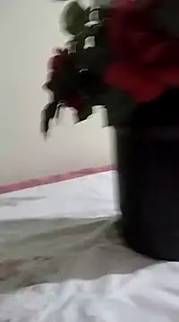 Snapshot of catdool chatting on January 23, 2025, 3:26 am catdool online show from January 23, 2025, 3:26 am