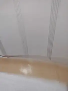 Snapshot of catdool chatting on February 3, 2025, 5:18 am catdool online show from February 3, 2025, 5:18 am