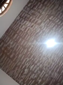 catdool online show from December 14, 2025, 12:21 pm