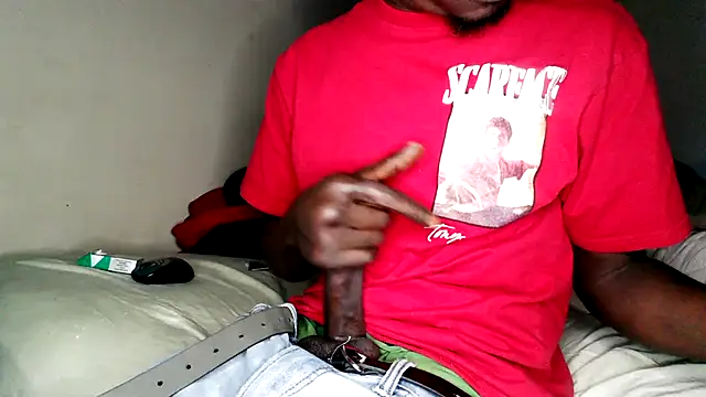 RinsingWood84 online show from February 9, 2026, 12:53 pm