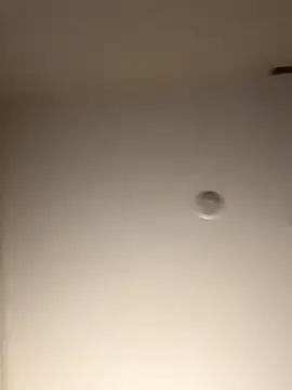 DancingLemonade online show from November 16, 2025, 11:49 am