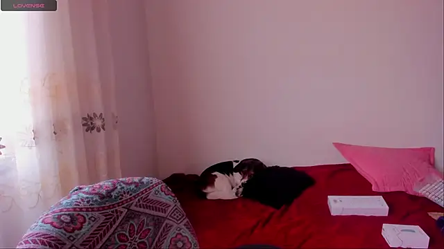 aluna 0310 online show from December 9, 2024, 6:46 pm