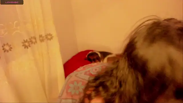 aluna 0310 online show from January 16, 2025, 11:59 pm