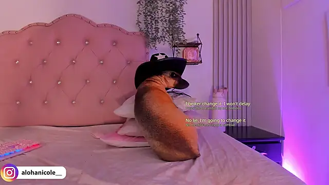 sweet nicole 11 online show from October 30, 2025, 10:27 am