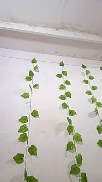 shayna all online show from November 25, 2025, 6:08 pm