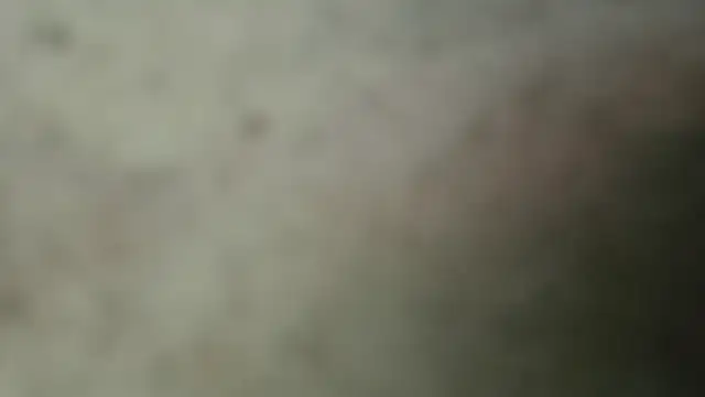 netuhubby online show from January 24, 2025, 8:43 pm