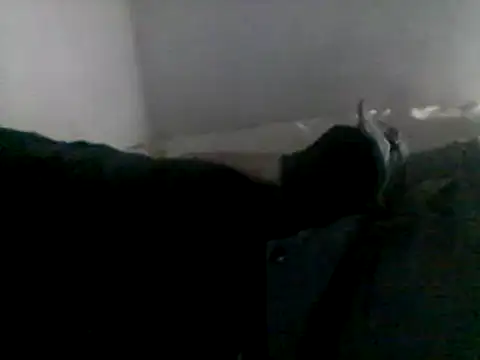 Snapshot of Dnbigo89 chatting on February 6, 2025, 5:40 pm Dnbigo89 online show from February 6, 2025, 5:40 pm