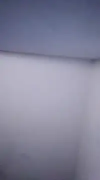 Snapshot of Dnbigo89 chatting on February 17, 2025, 1:21 pm Dnbigo89 online show from February 17, 2025, 1:21 pm