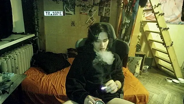 sademobeer online show from February 23, 2026, 3:48 am