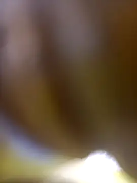 FinableKnee online show from January 6, 2026, 10:08 am