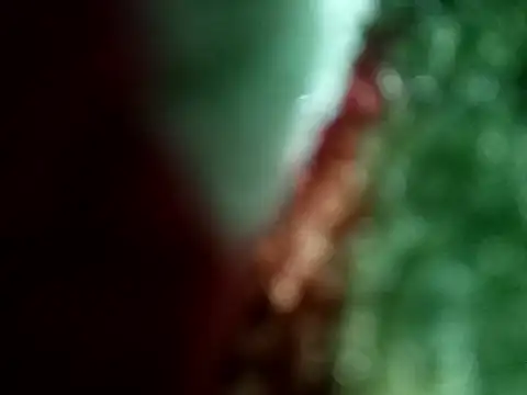 Rittik00 online show from January 11, 2026, 2:33 pm