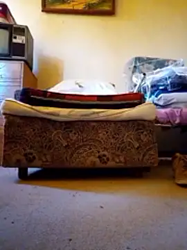 rodovlaz online show from February 10, 2026, 11:25 am