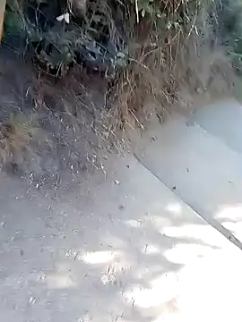 rodovlaz online show from March 2, 2026, 1:07 pm