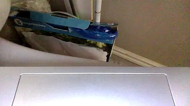 petitedoll29 online show from November 5, 2025, 7:58 pm