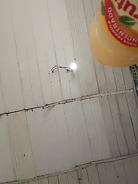 Kanekki2 online show from March 27, 2026, 12:49 pm