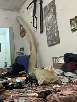 Snapshot of raphadoors19 chatting on December 20, 2025, 4:52 am raphadoors19 online show from December 20, 2025, 4:52 am