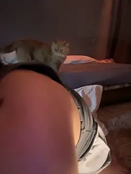 Bastet online show from January 14, 2025, 9:51 pm