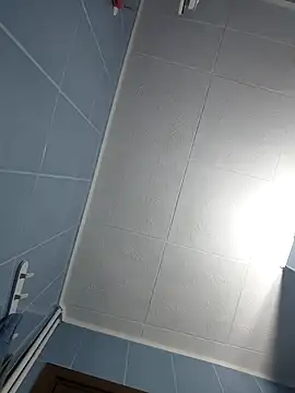 Snapshot of Govora chatting on December 29, 2024, 11:07 am Govora online show from December 29, 2024, 11:07 am