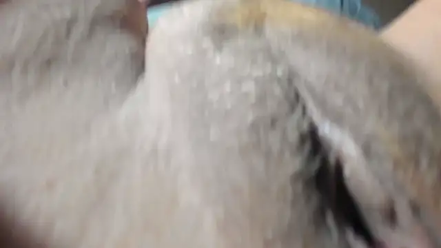 Snapshot of FrumCake chatting on December 27, 2024, 1:11 am FrumCake online show from December 27, 2024, 1:11 am