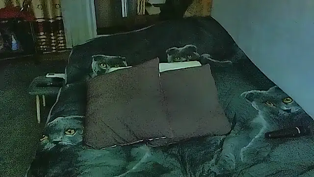 sex2 online show from November 10, 2025, 11:26 pm