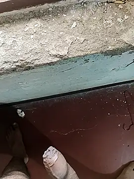 MalluBoyForGirls online show from February 20, 2025, 8:17 am