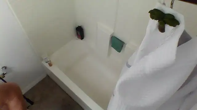 Yankeedave420 online show from January 27, 2025, 3:47 am