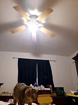 ScarletCallings420 online show from February 19, 2025, 3:27 pm