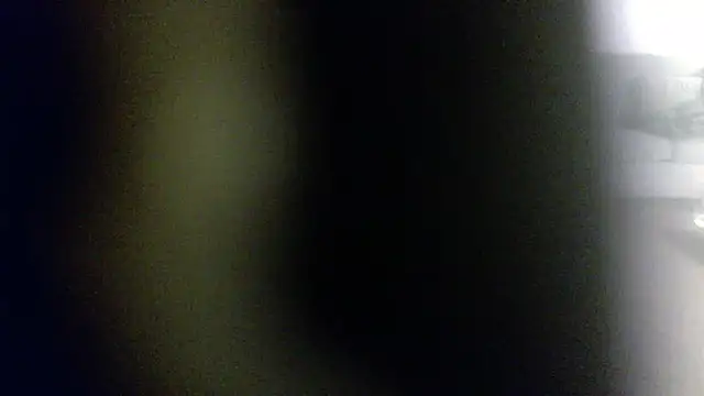 palidin1 online show from February 1, 2026, 7:51 am