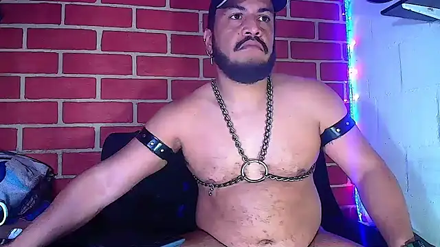 the master foal  online show from January 10, 2025, 5:26 am