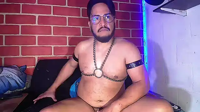 the master foal  online show from January 29, 2025, 2:42 pm