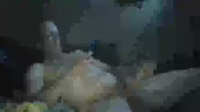 Snapshot of Wyley@xh chatting on September 23, 2025, 8:28 am Wyleyxh online show from September 23, 2025, 8:28 am