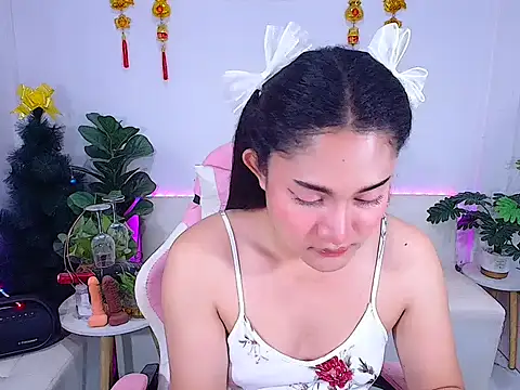 plysaithailand online show from February 24, 2026, 3:26 am