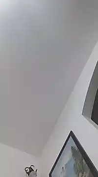 Snapshot of manuel9428 chatting on January 21, 2025, 8:54 pm manuel9428 online show from January 21, 2025, 8:54 pm