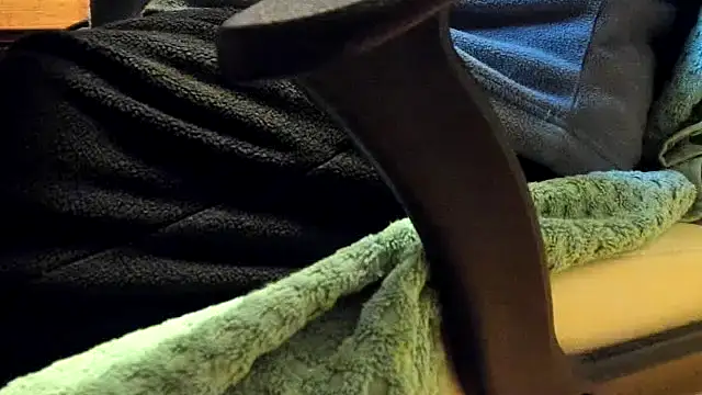 leccaleccafiga online show from February 4, 2026, 10:21 am