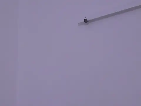 BustyMadison online show from November 13, 2025, 9:19 am